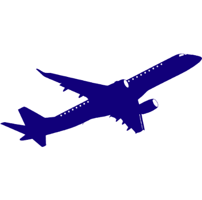 Flynest Consultant Logo – Expert in Travel, Study Abroad & Work Permits