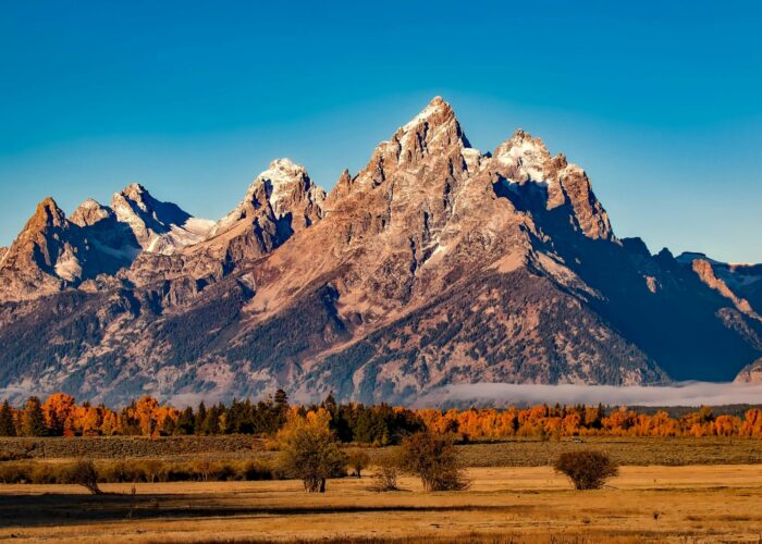 Flynest Consultant Himalaya Hills trekking and adventure tour