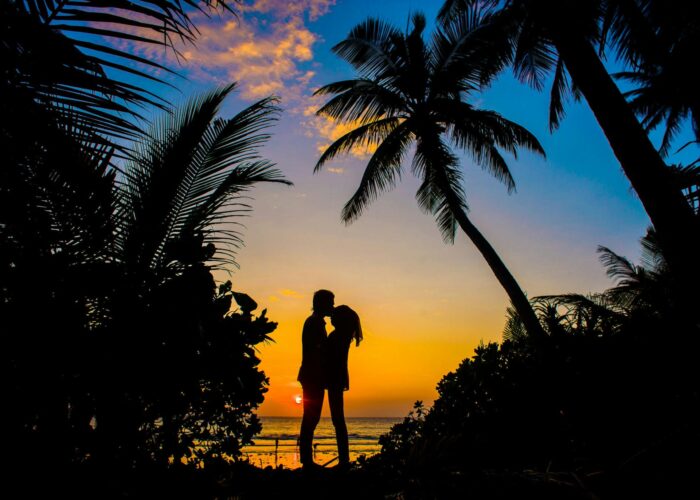 Flynest Consultant Romantic Honeymoon Package