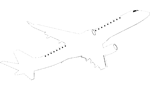 flynest consultant travel company logo